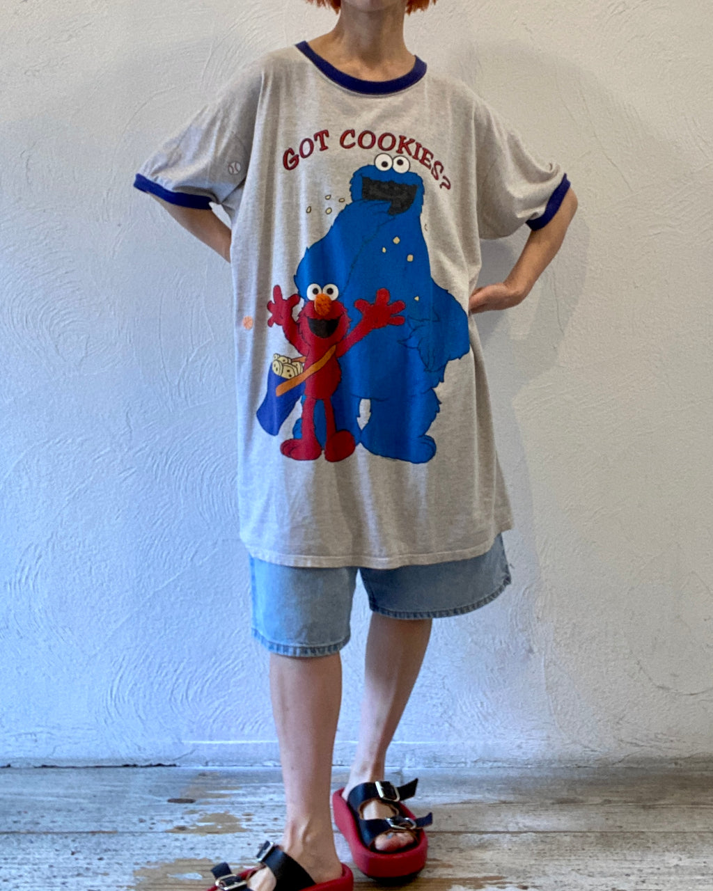 Cookie Monster and Elmo big T