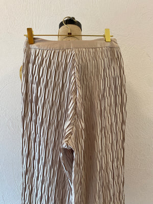 pleats shiny pants