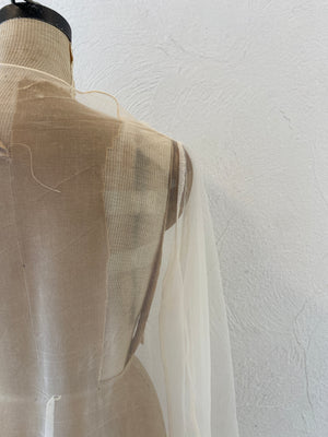nude through dress
