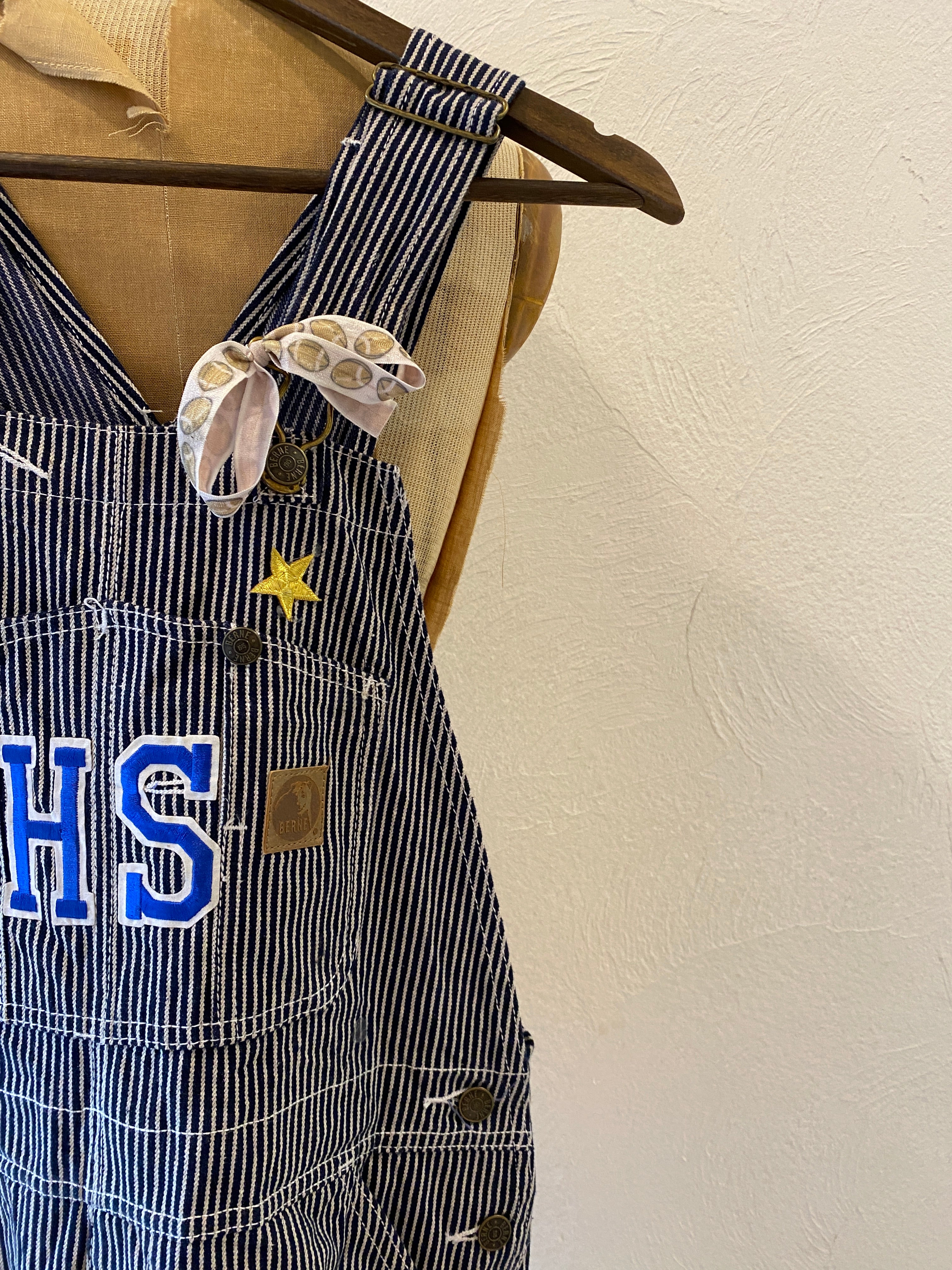 paint hickory overall