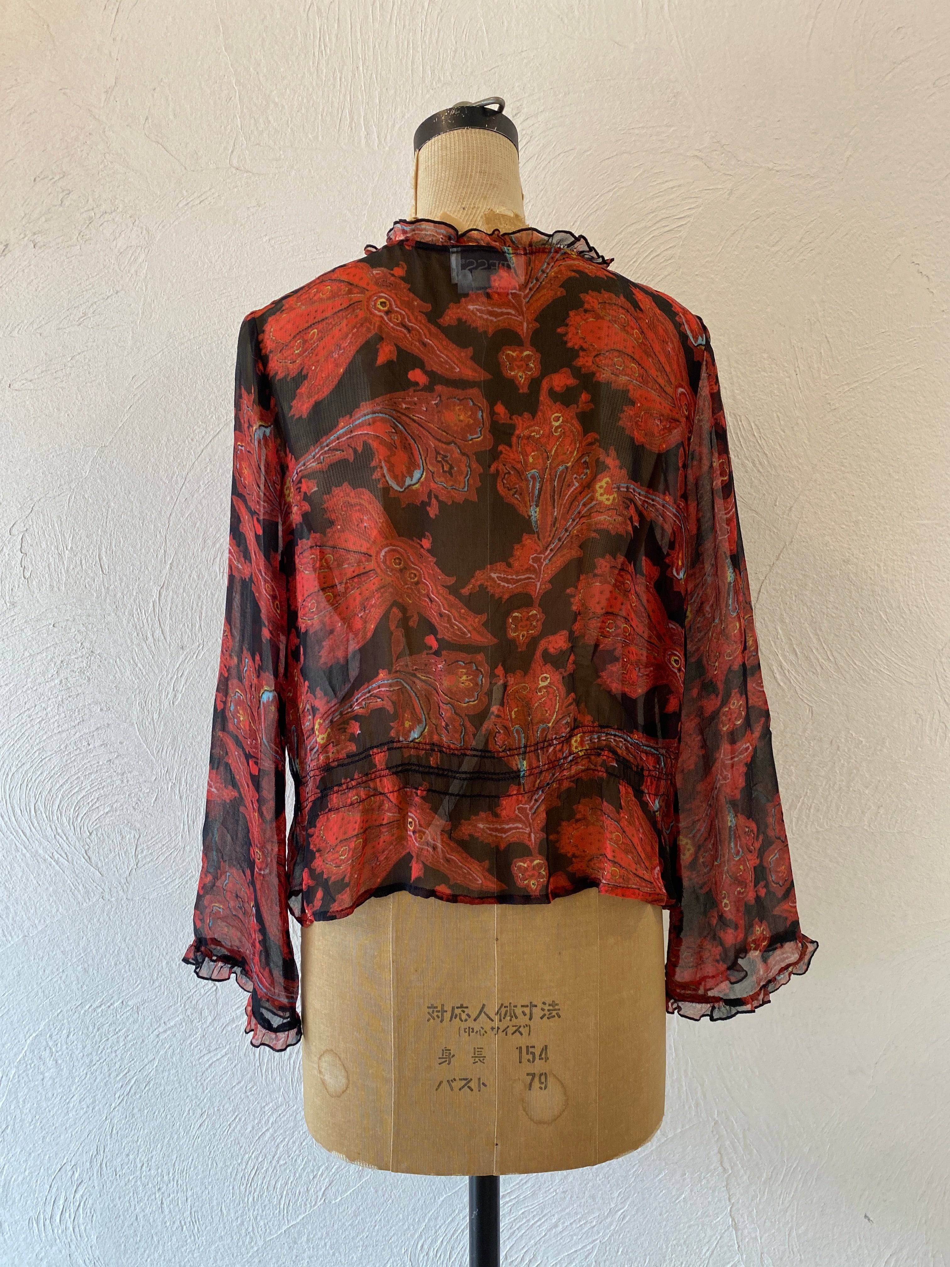 through paisly blouse