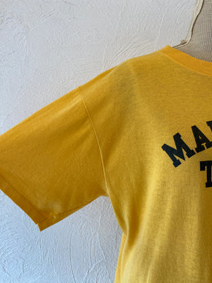 tigers T
