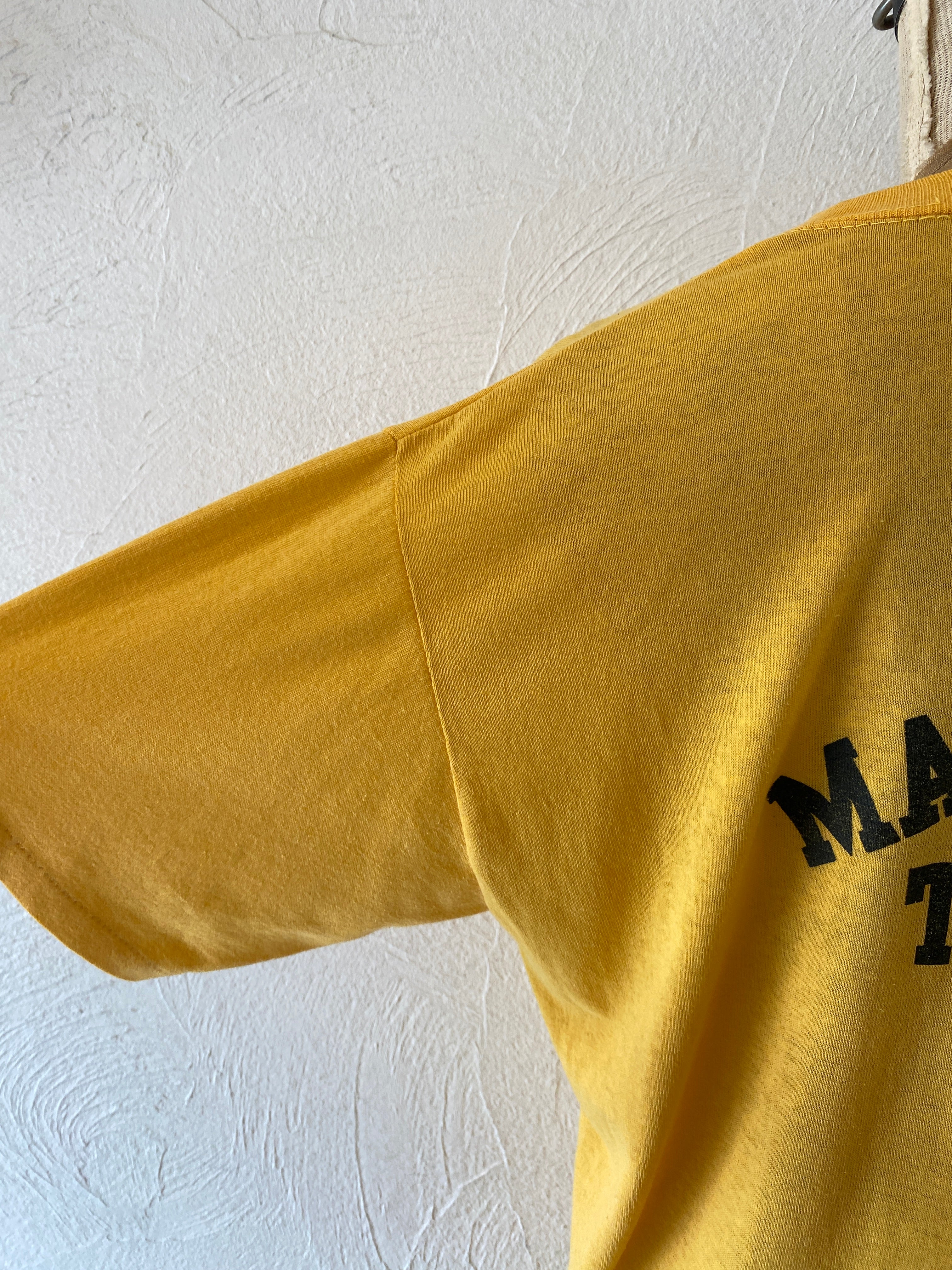 tigers T