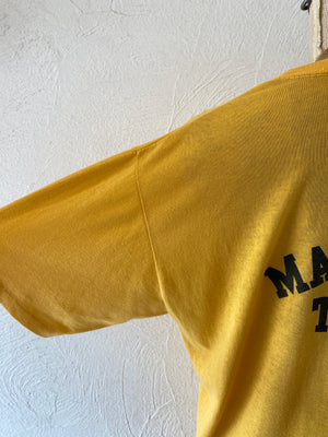 tigers T